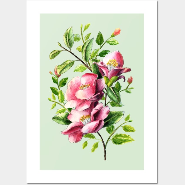 Pink Camellia Flowers Watercolor Painting Wall Art by Ratna Arts